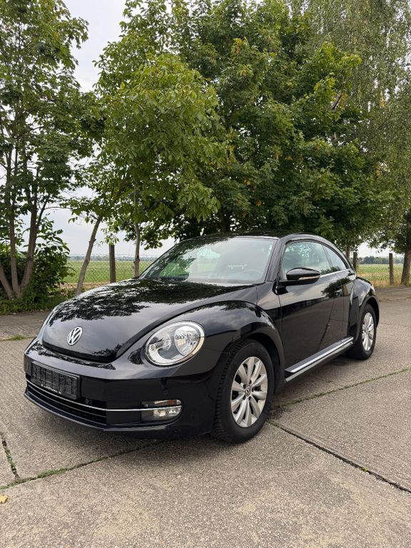 Beetle