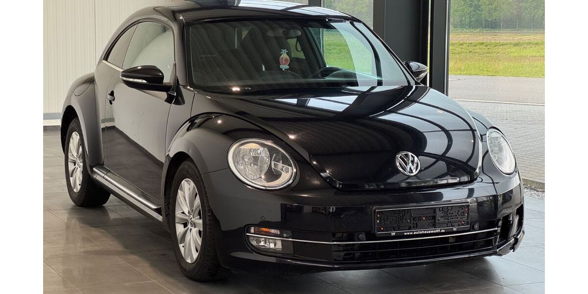 VW Beetle 204.000 km 3.990 &euro; Neuenhaus 49828
