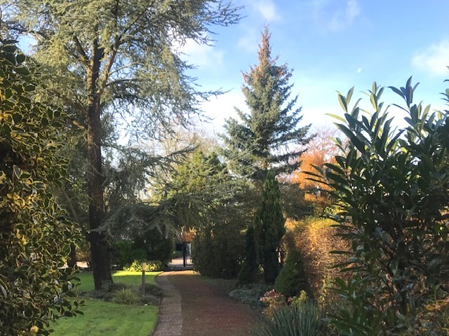 Abrissgrundstück in exklusiver und sehr schöner Lage von Münster- St. Mauritz - Grundstück Münster / Ost Ost | Angebot:24794059