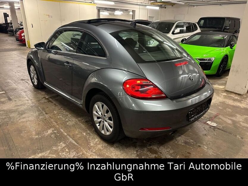 Beetle