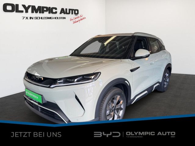 BYD ATTO 2 3.000 km 28.990 &euro; Westerrönfeld 24784