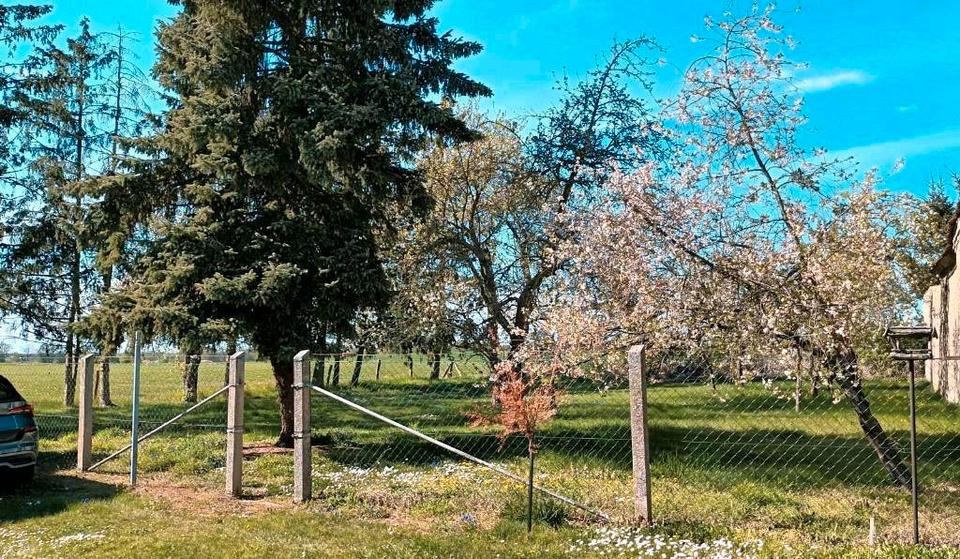 Einfamilienhaus Pritzwalk - 3 Zimmer, 100 m&sup2;, 134.000&euro; | Angebot:26985144