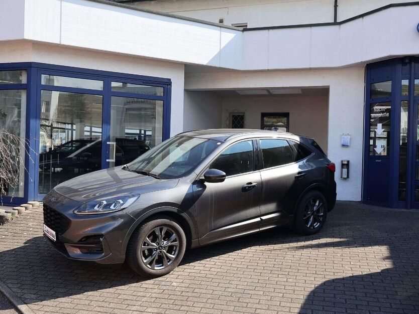 Kuga