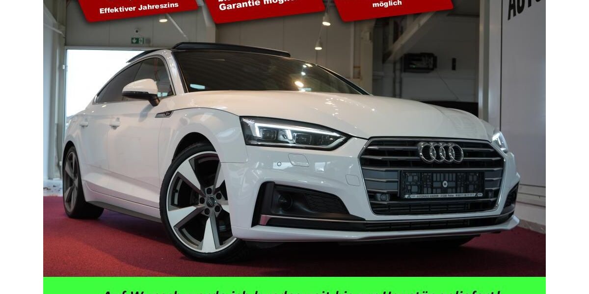 Audi A5 16.931 km 31.890 &euro; Peine 31228