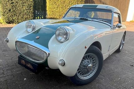 Austin Healey Andere