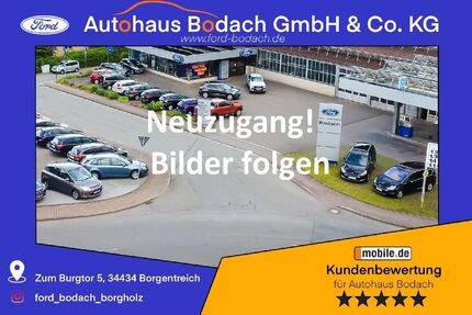 Ford Puma 19.004 km 22.999 &euro; Borgentreich-Borgholz 34434