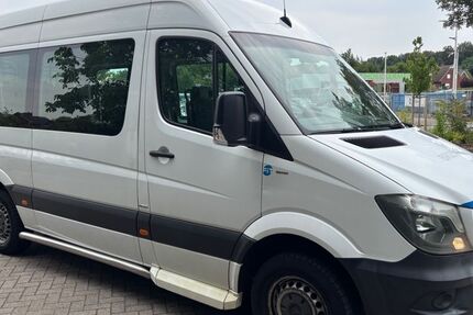 Mercedes-Benz Sprinter 532.452 km 10.591 &euro; Bad Bentheim/Gildehaus 48455