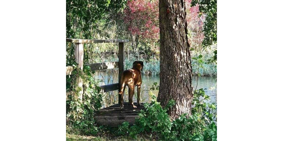 Bauernhaus, Landhaus Kleinzerlang Kleinzerlang - 1 Zimmer, 389 m&sup2;, 860.000&euro; | Angebot:25803133