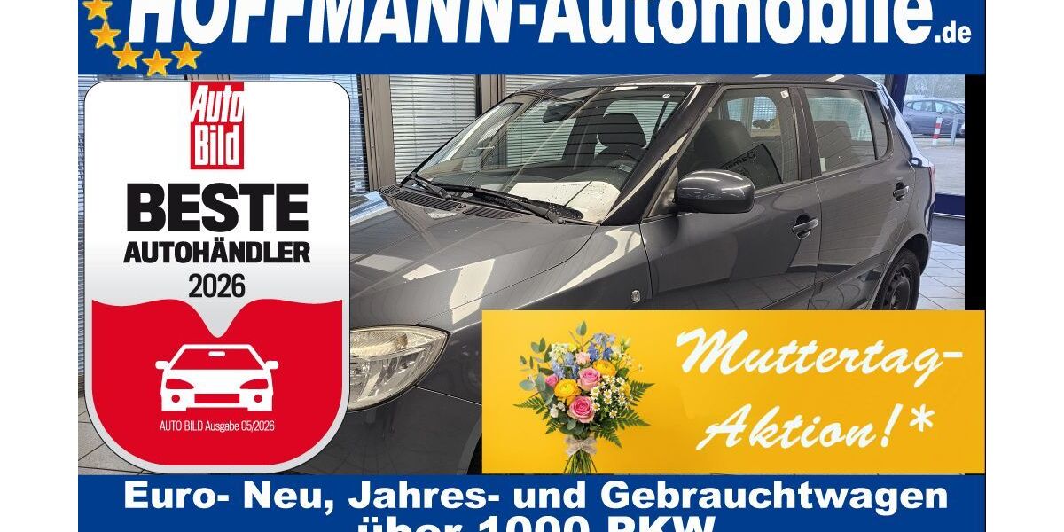 Skoda Fabia 174.600 km 1.200 &euro; Wolfsburg-Heiligendorf 38444