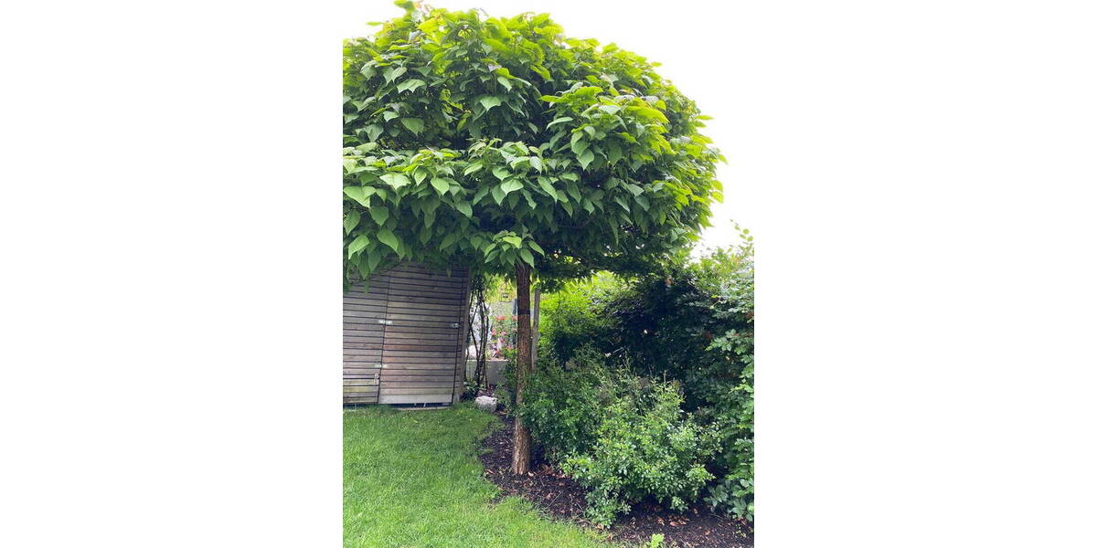 Reihenendhaus Bad Aibling - 4 Zimmer, 116 m&sup2;, 785.000&euro; | Angebot:26790518