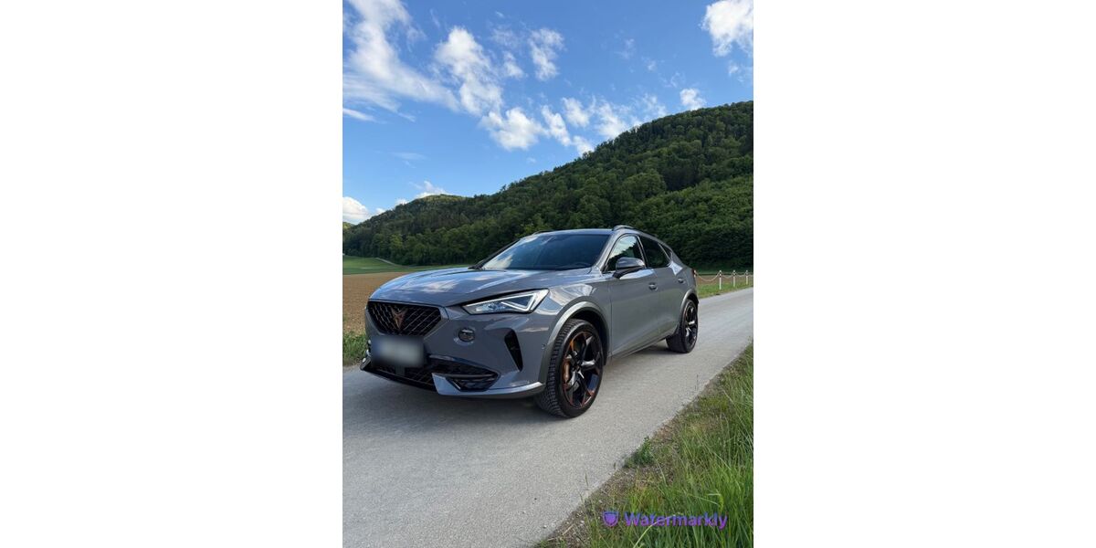 Cupra Formentor 83.500 km 27.650 &euro; Jestetten 79798