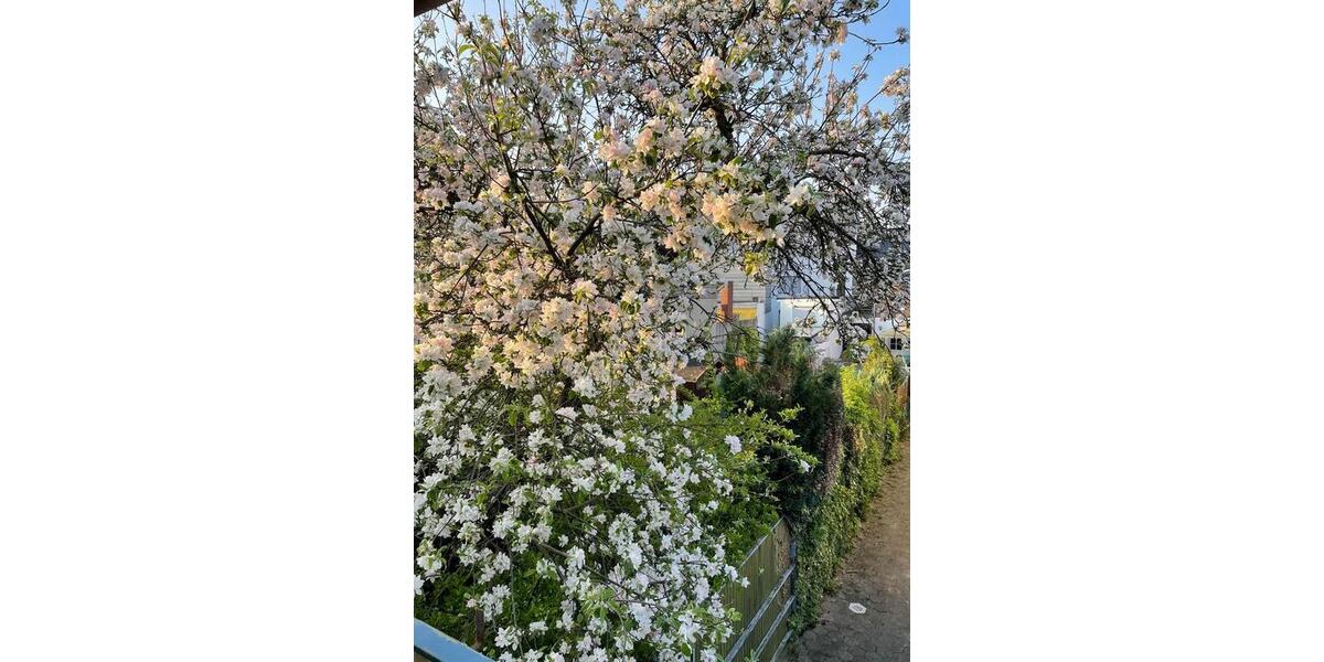 Einfamilienhaus 5 zimmer