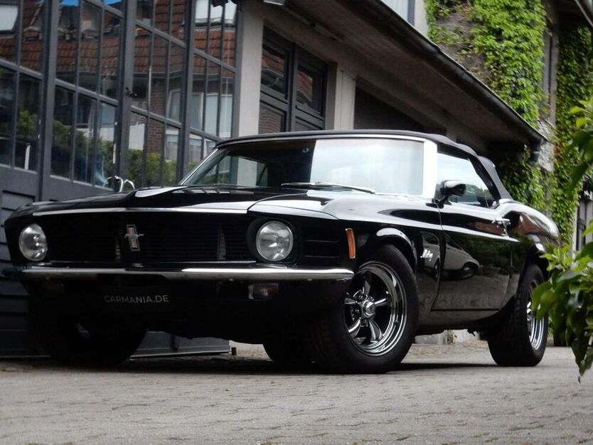 Mustang