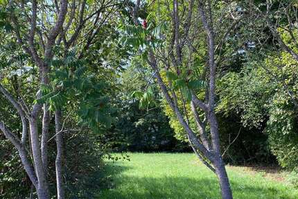 Grundstück zu verkaufen in Grünwald 2.300.000 € 960 m² zimmer