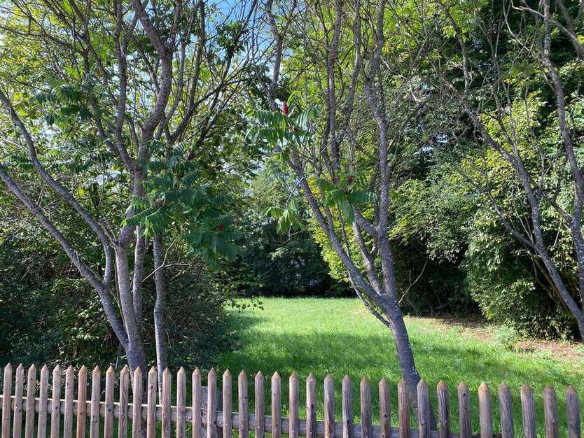 Grundstück zu verkaufen in Grünwald 2.300.000 € 960 m² zimmer