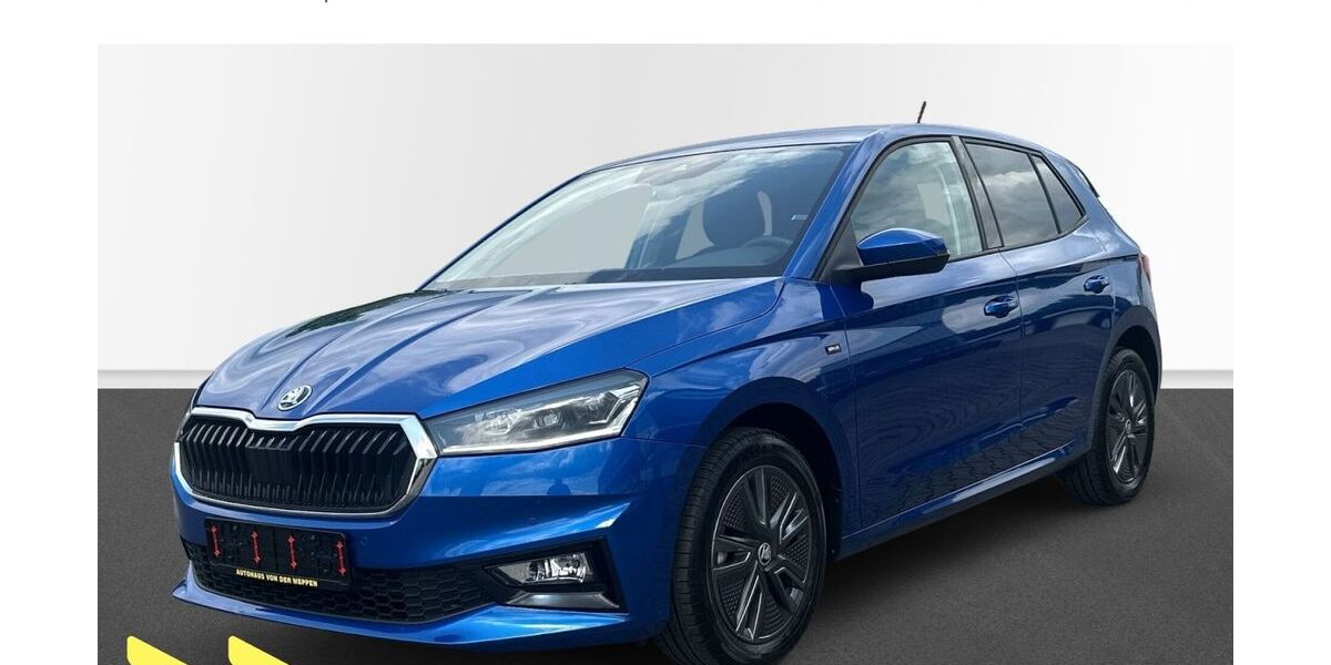 Skoda Fabia 10.056 km 17.290 &euro; Friesenheim 77948