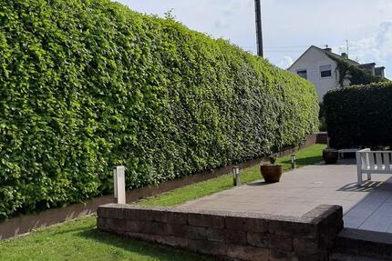 Haus Morbach - 7 Zimmer, 242 m&sup2;, 535.000&euro; | Angebot:26591708