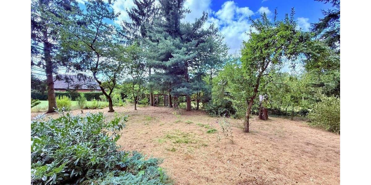 Bungalow Rosche - 5 Zimmer, 120 m&sup2;, 249.000&euro; | Angebot:26438775