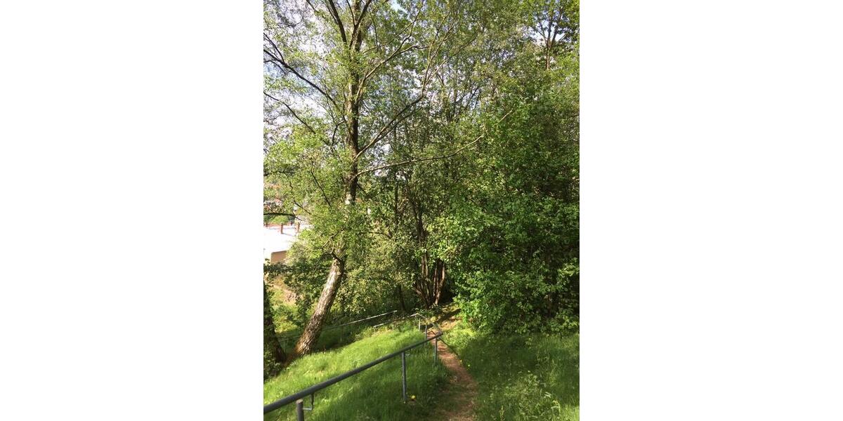 Etagenwohnung Sebnitz - 3 Zimmer, 63 m&sup2;, 410&euro; | Angebot:26367303