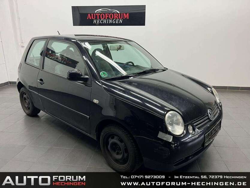 Lupo