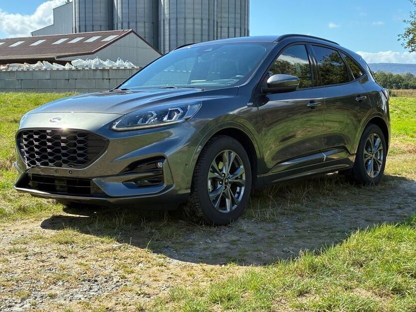 Kuga