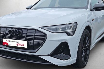 Audi e-tron 50.279 km 38.980 &euro; Mainz 55131