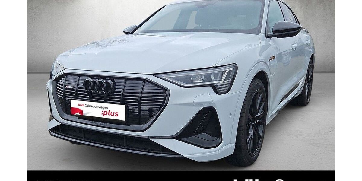 Audi e-tron 50.279 km 39.980 &euro; Mainz 55131