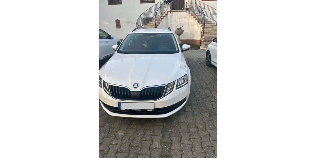 Skoda Octavia 100.000 km 15.299 &euro; Reinheim 64354