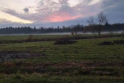 Haus Bad Wildungen - 6 Zimmer, 100 m&sup2;, 80.000&euro; | Angebot:25376447