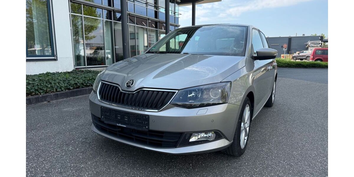 Skoda Fabia 131.000 km 7.990 &euro; Schwetzingen 68723