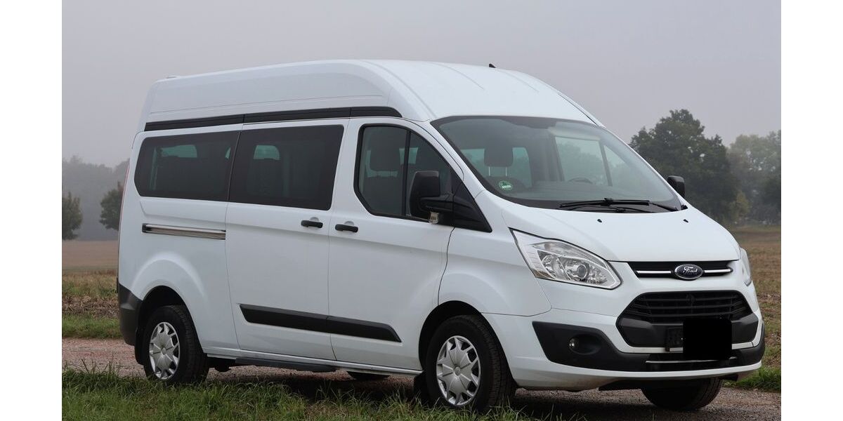 Ford Transit Custom 245.000 km 19.500 € Reinsdorf 08141