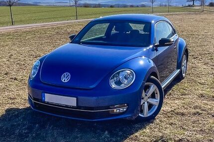 VW Beetle