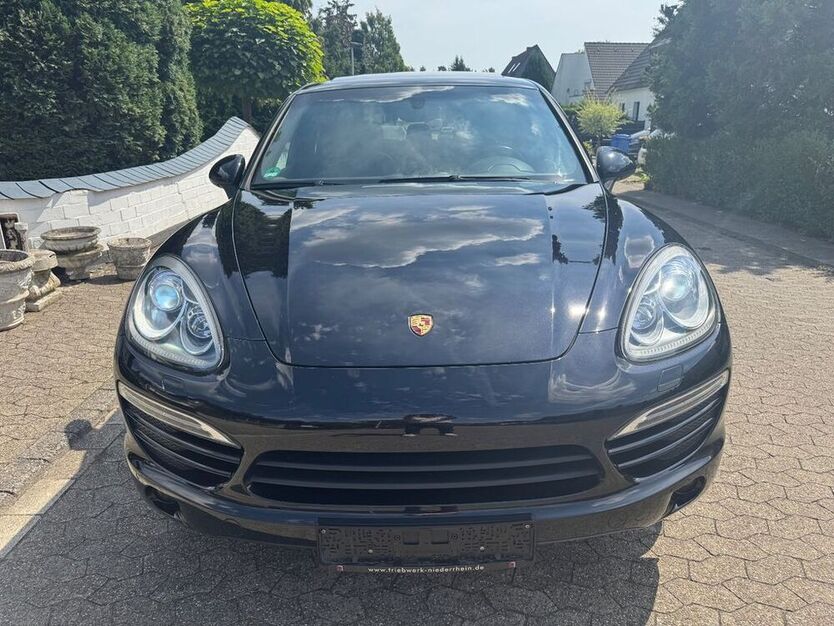 Cayenne