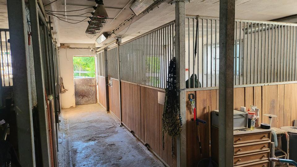 Bauernhaus, Landhaus Münchsmünster - 5 Zimmer, 160 m&sup2;, 1.820&euro; | Angebot:25958704