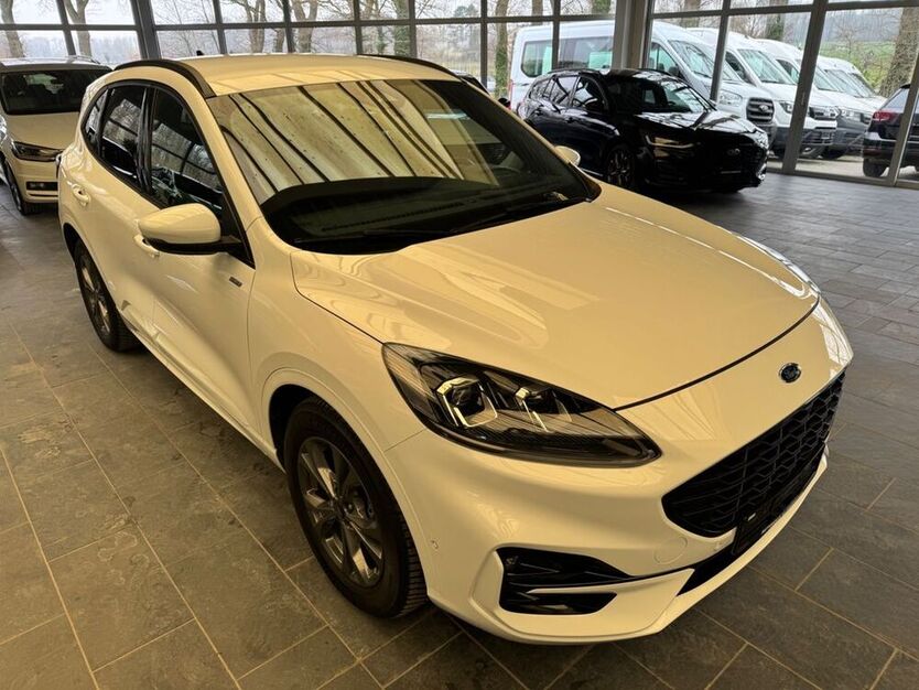 Kuga