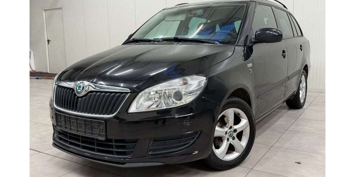 Skoda Fabia 258.703 km 2.490 &euro; Steinfeld 49439