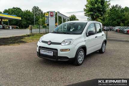 Fiat Panda 11.000 km 12.290 &euro; Reichertshofen-Winden 85084
