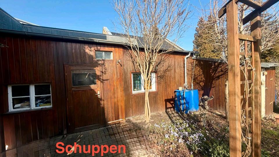 Einfamilienhaus Oschatz - 13 Zimmer, 150 m&sup2;, 980&euro; | Angebot:25448558