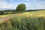 Mehrfamilienhaus, Wohnhaus Bad Hersfeld - 600.000&euro; | Angebot:26251455