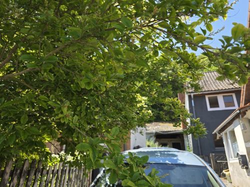 Einfamilienhaus in ruhiger Lage von 97762 Hammelburg-Pfaffenhausen (ID 10710) - Einfamilienhaus Hammelburg Hammelburg | Angebot:27113587