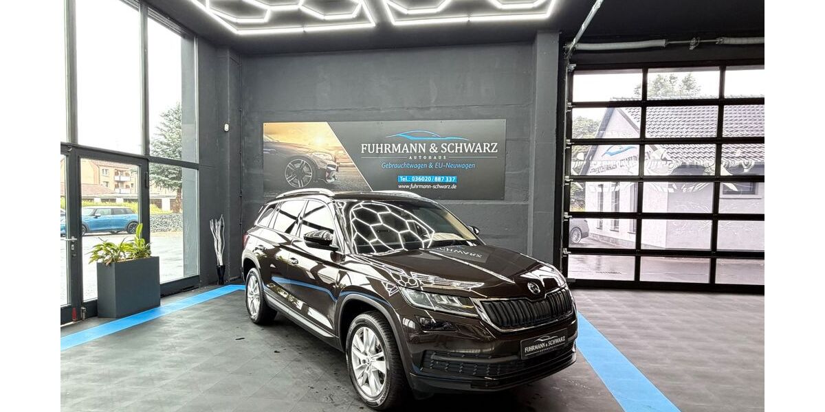 Skoda Kodiaq 143.962 km 21.860 &euro; Ebeleben 99713