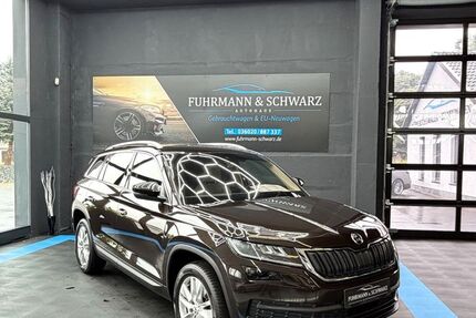 Skoda Kodiaq 143.962 km 21.910 &euro; Ebeleben 99713