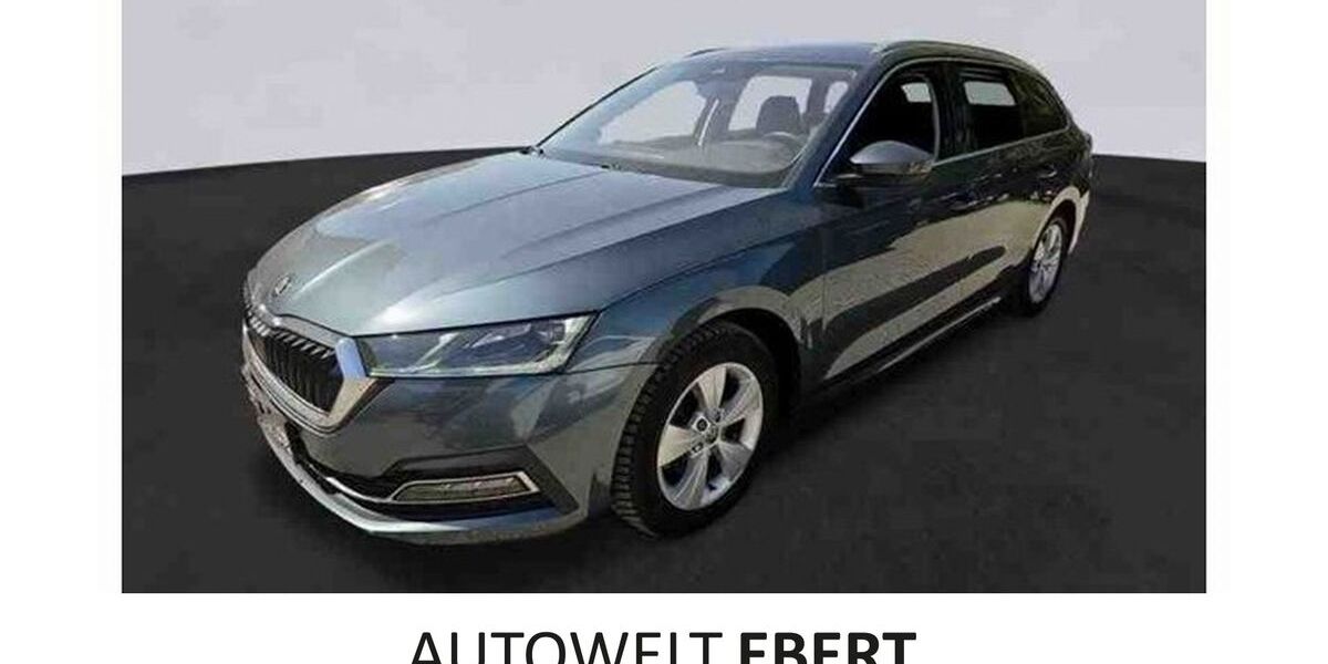 Skoda Octavia 101.290 km 20.890 &euro; Eberbach 69412