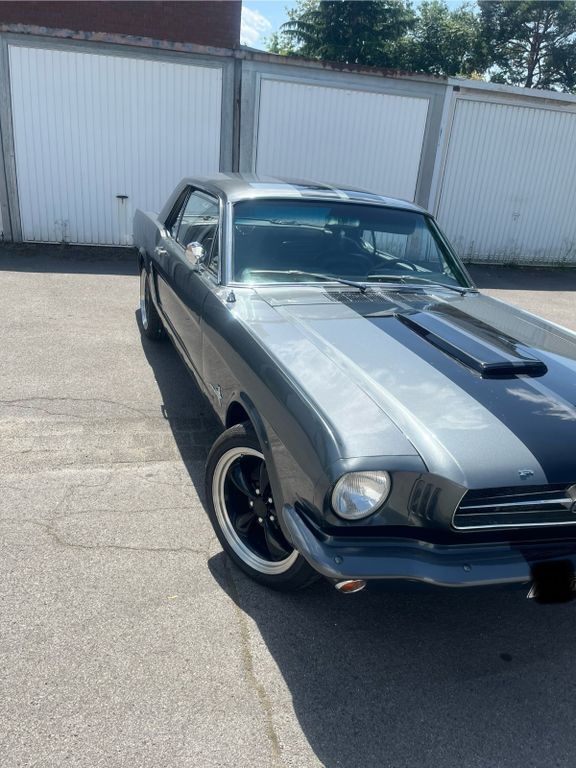 Mustang