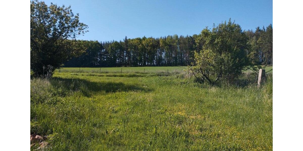 Einfamilienhaus Furth im Wald - 250.000&euro; | Angebot:26737793