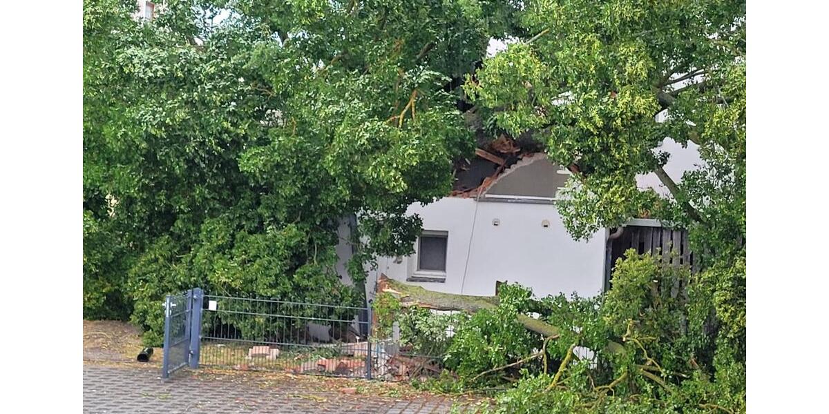 Einfamilienhaus Weihenzell - 7 Zimmer, 500 m&sup2;, 270.000&euro; | Angebot:26775936
