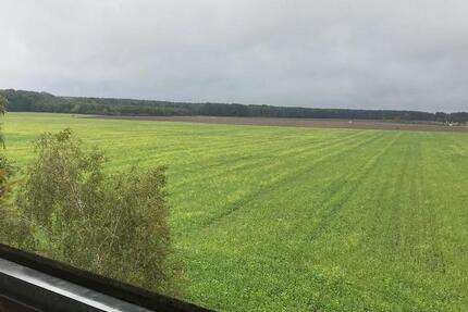 Schöne, ruhige 2 Raum Wohnung 2 zimmer