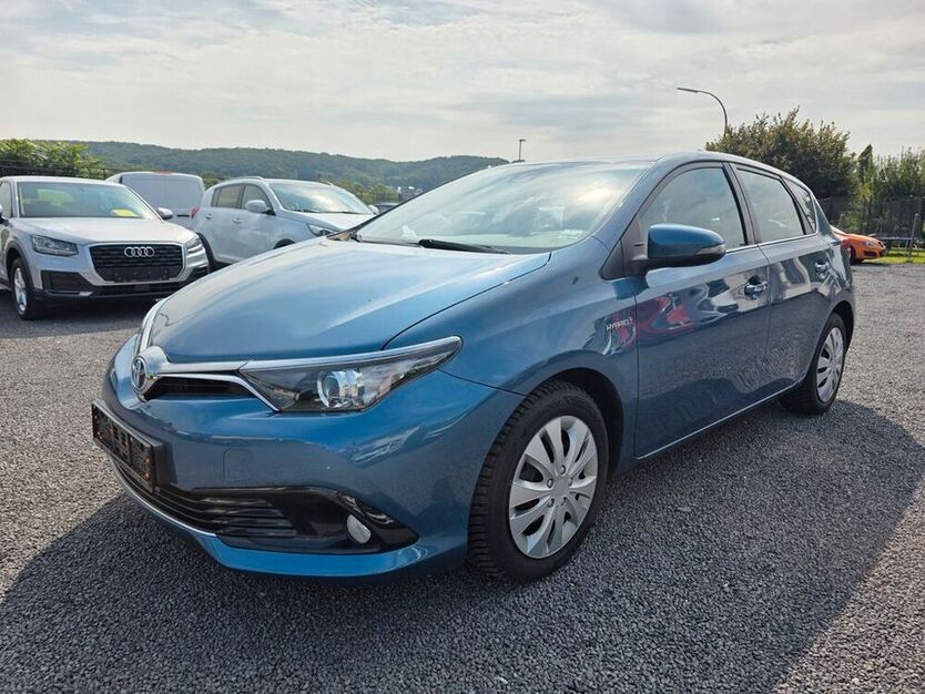 Auris