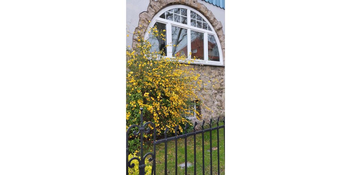 Mehrfamilienhaus, Wohnhaus Bad Harzburg - 495.000&euro; | Angebot:26840451