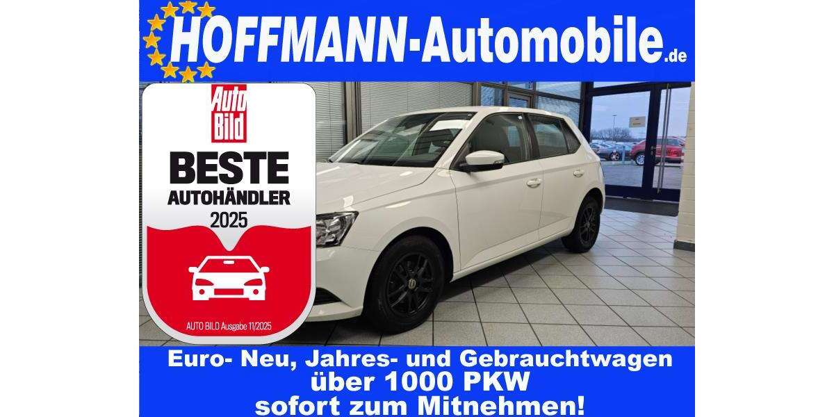 Skoda Fabia 89.500 km 8.400 &euro; Wolfsburg Heiligendorf 38444